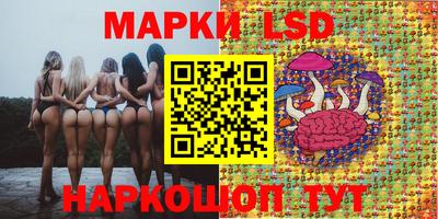 эйфоретик Будённовск