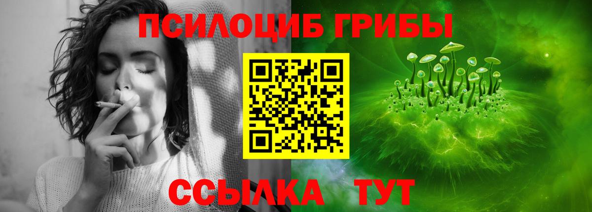 Междуреченск  как найти закладки  Вход с VPN  Галлюциногенные грибы мухоморы 